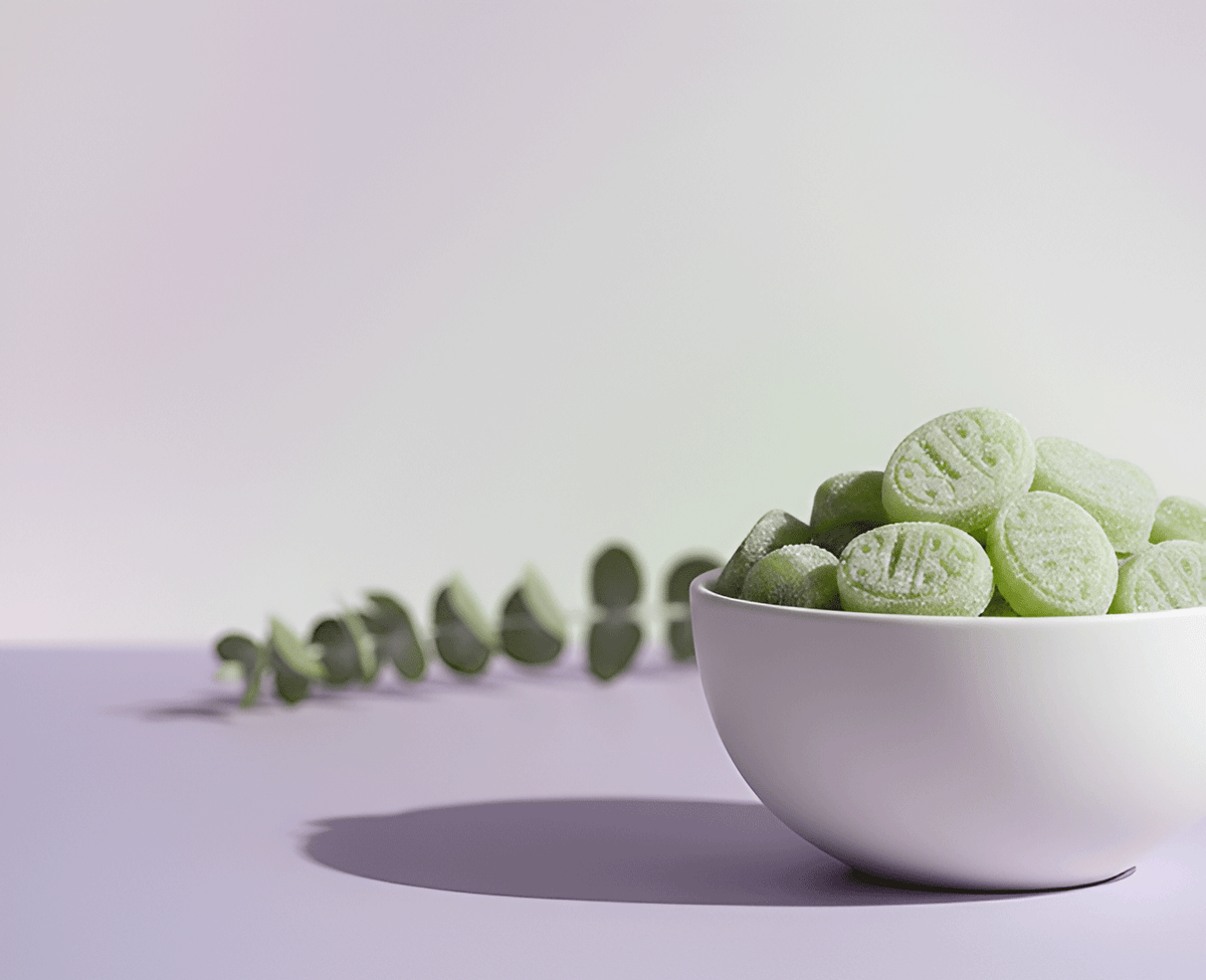 The Reign of the Banger: Celebrating Our Top 10 Sweetest Hits of the Year! - Nordicbangers